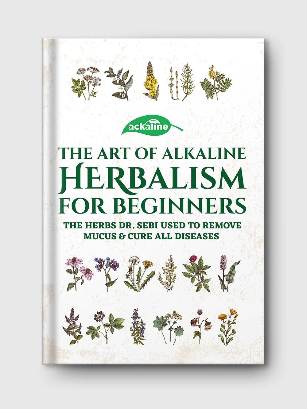 The Art of Alkaline Herbalism